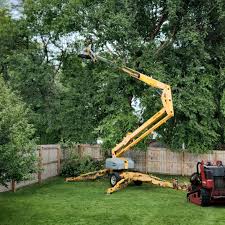 Best Lawn Grading and Leveling  in Blackwells Mills, NJ