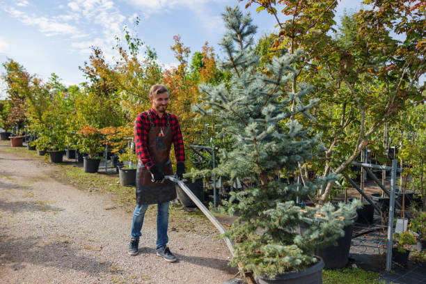 Best Organic Lawn Care Solutions  in Blackwells Mills, NJ